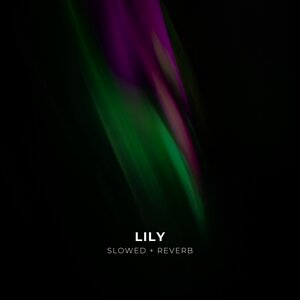 Alan Walker, Alan Walker, K-391, Emelie Hollow, K-391, Emelie Hollow — Lily Slowed + Reverb
