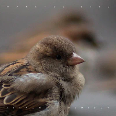 Alexander Demidov — Wakeful Bird