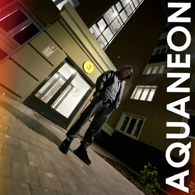 AQUANEON — Но, как всегда...