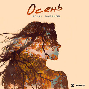 Аслан Улпанов