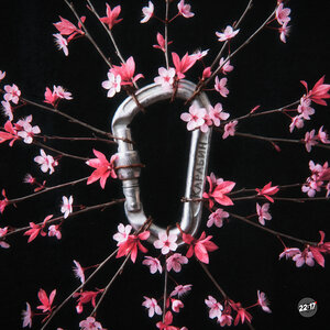 Chulkova — Карабин