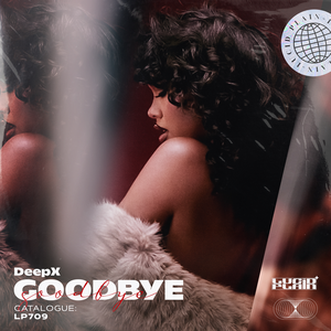 DeepX - Goodbye