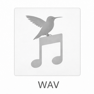 WAV