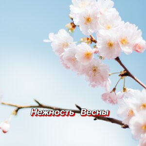 СКВОЗЬ ХОЛОДА