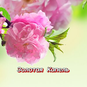 УЛЕТАЮТ ПТИЦЫ