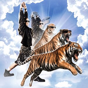 Глаза тигра