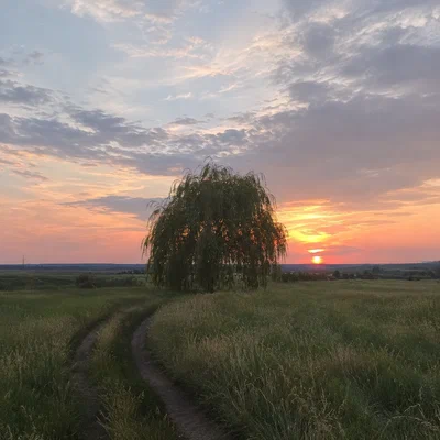 INSTASAMKA — Лишь раз