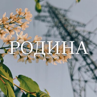 ксюwa