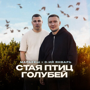 Маракеш, 3-ий Январь — Стая птиц голубей