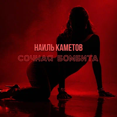 Наиль Каметов — Сочная бомбита