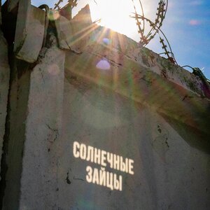 Нина Смит — Солнечные зайцы