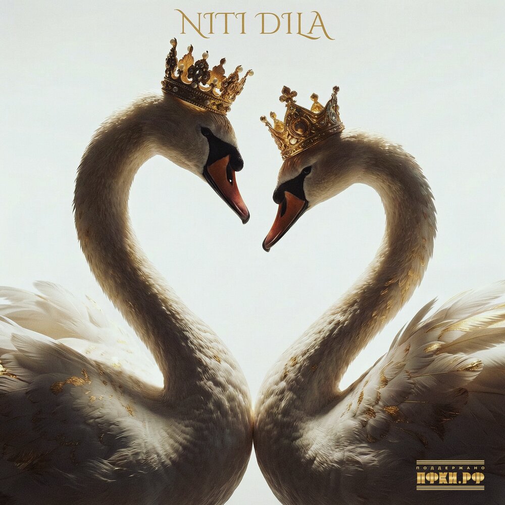 NITI DILA — Белые лебеди