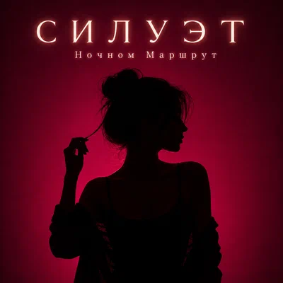 Ночной Маршрут — СИЛУЭТ