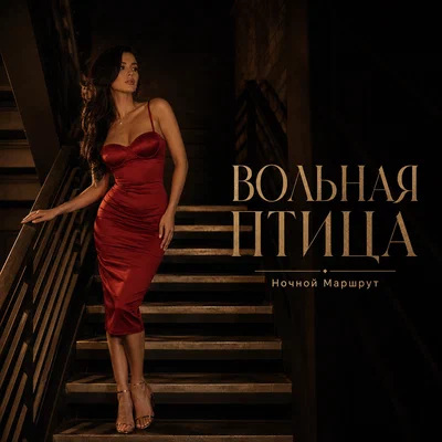 Ночной Маршрут — ВОЛЬНАЯ ПТИЦА