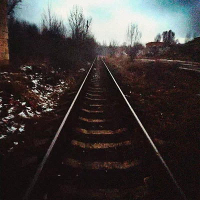 Поларойд — рельсы
