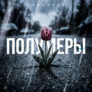 Прокопец — Полумеры