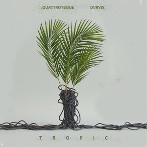 QUATTROTEQUE, DVRVIX — Tropic 