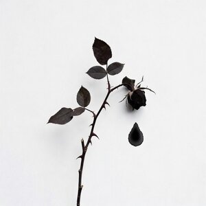 Упоенье — яд отравы