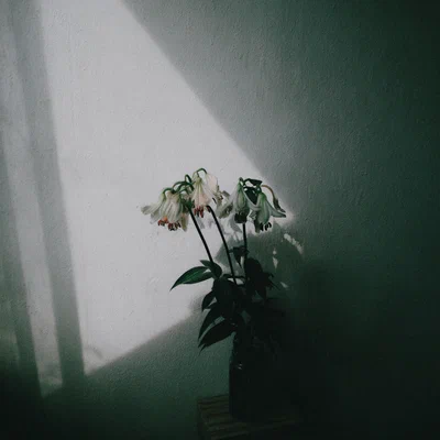 SNIZOV - НЕБЕЗОПАСНО