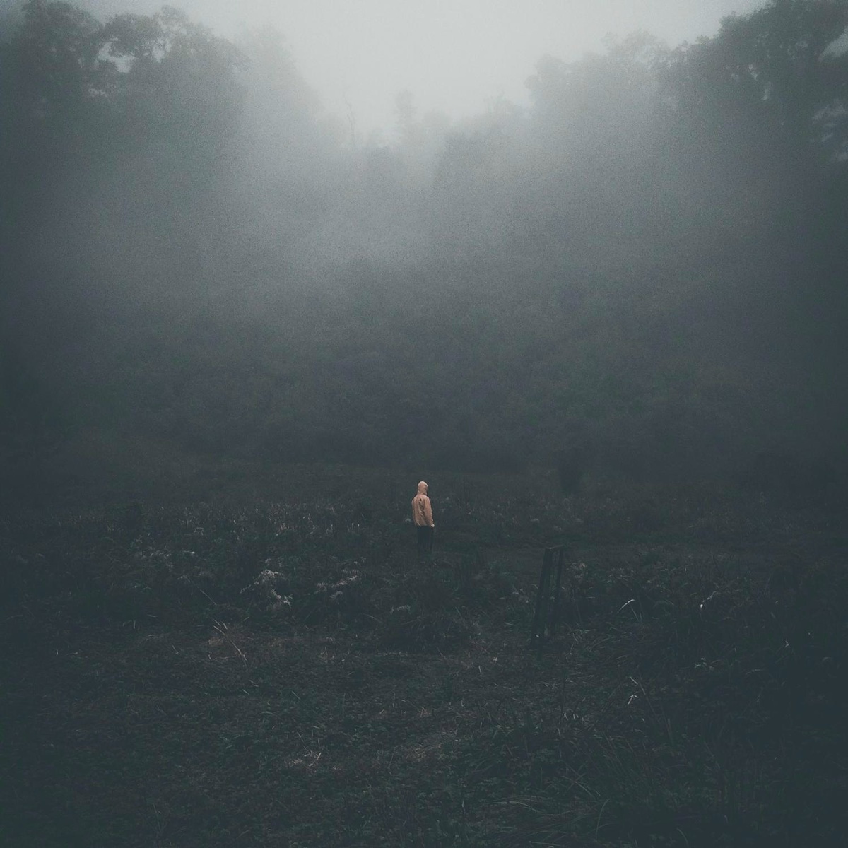 Timran, Zell — Настоящим