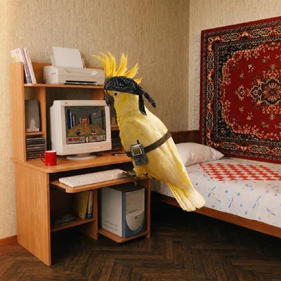 Tr!ckster — Какаду
