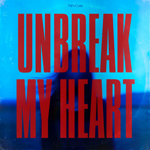 Unbreak My Heart
