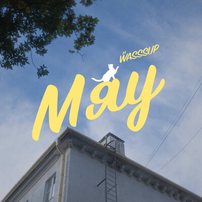 WASSSUP — Мяу
