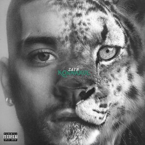 ZAYN — Side Effects